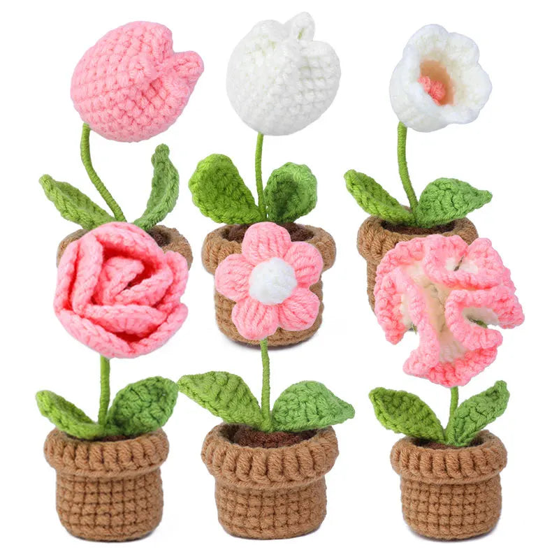 6Pcs Crochet Potted Flower Kit for Beginners with Video Tutorial Cotton Knitting Yarn Thread Needles Hooks Knit Tool Set